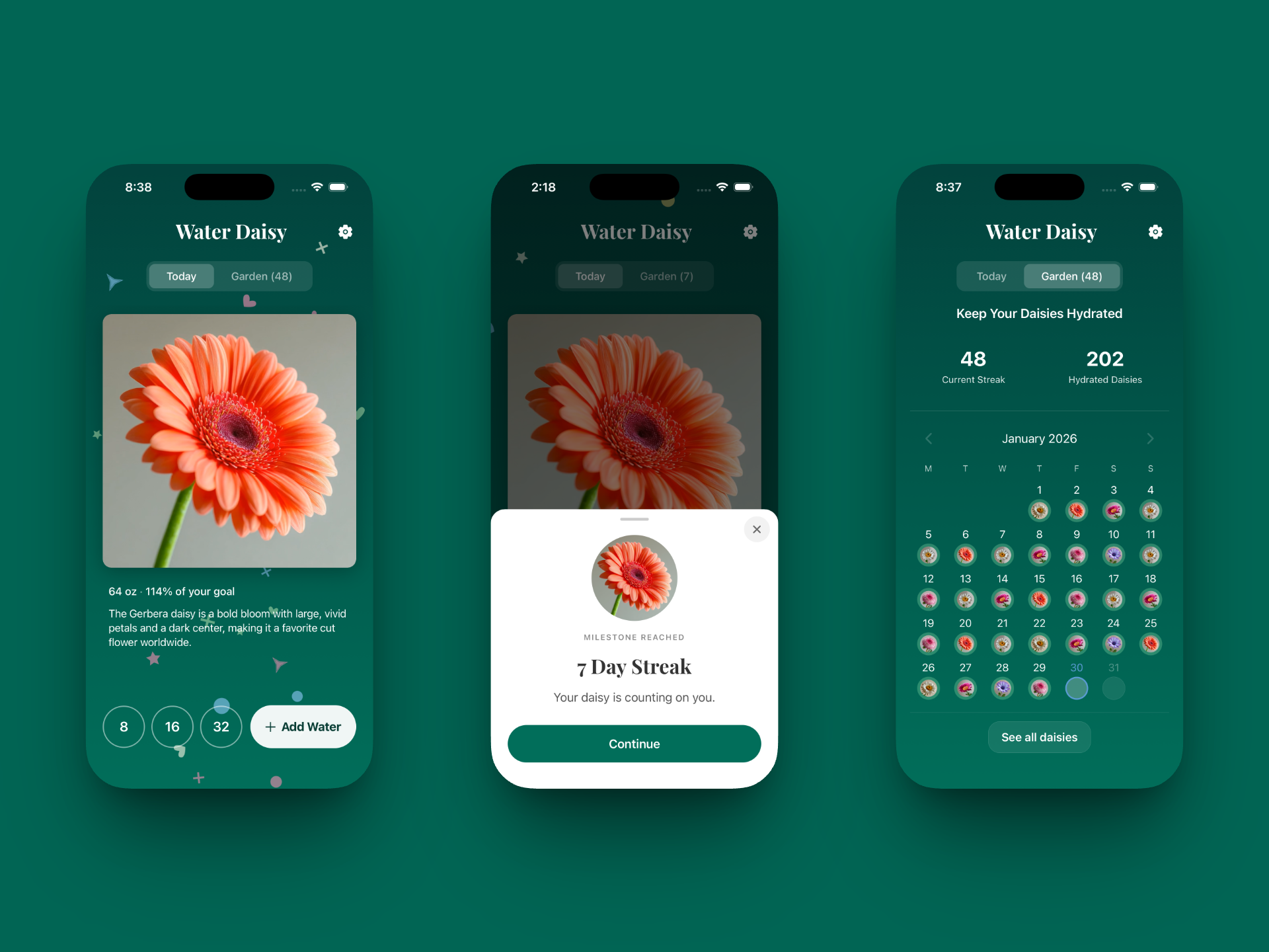 Water Daisy app screens showing hydration tracking and daisy bloom